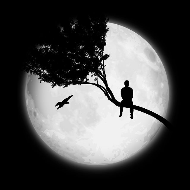 木の上に座って月を見ている男性